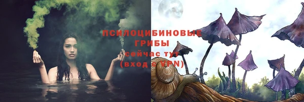 a pvp Магас