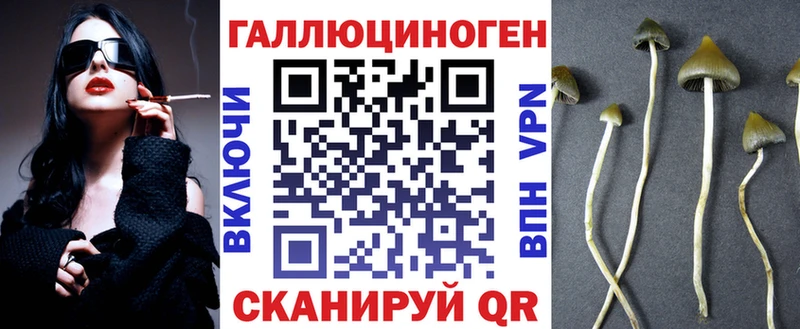 Купить  Красный Холм  Галлюциногенные грибы Cubensis 